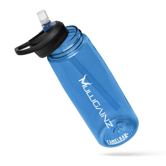 Sports water bottle